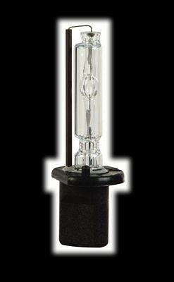 H1 Xenon Replacement VDX Head Light Bulbs 8000K (1 Pair)